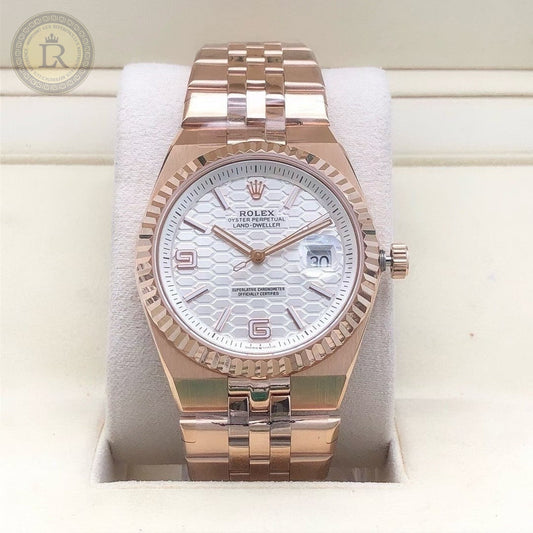 Rolex Land-Dweller or everose 36mm unisexe